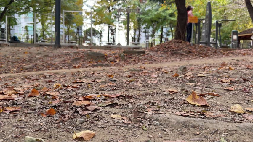 Fallen autumn leaves cover the foreground of a wooded park, with walkers and a person using a waist-twisting exercise machine in the softly focused background. A low-angle view emphasizes leaf texture and everyday outdoor recreation.