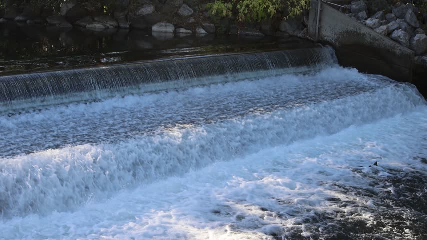 Chinook salmon (Oncorhynchus tshawytscha) leap at the cascading weir on Battle Creek at Coleman National Fish Hatchery near Anderson, Shasta County, California.
