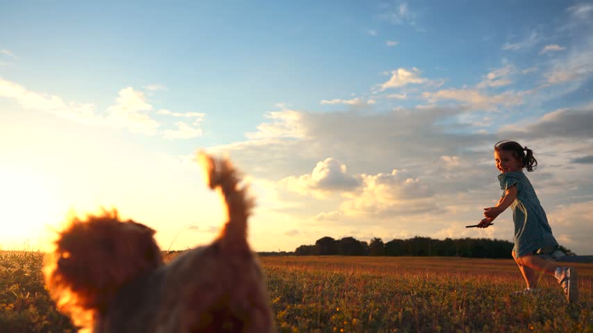 A girl runs across an open field while a small dog follows her. The girl, wearing a dress, plays joyfully in the bright, sunny sky with fluffy clouds.