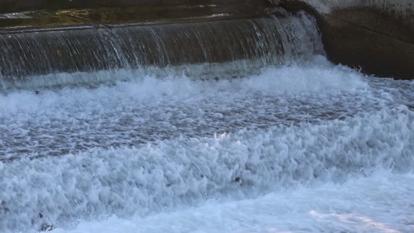 Chinook salmon (Oncorhynchus tshawytscha) leap from the whitewater below the weir on Battle Creek at Coleman National Fish Hatchery near Anderson, Shasta County, California, in slow motion.