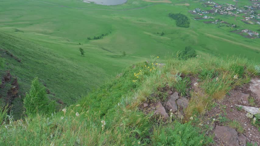 A handheld top-down view looking past a rocky cliff edge and birch trees towards a bright green valley in Khakassia. The lush summer landscape features vibrant vegetation and wild flowers in the foreground.