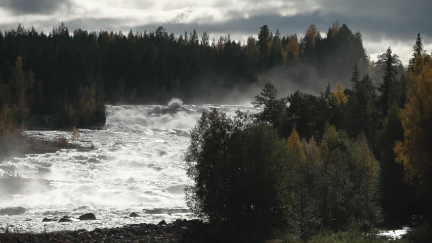 Mighty white water rapids of the Storforsen waterfall flowing through a dense forest in northern Sweden, with mist rising from the powerful current under a cloudy sky during autumn