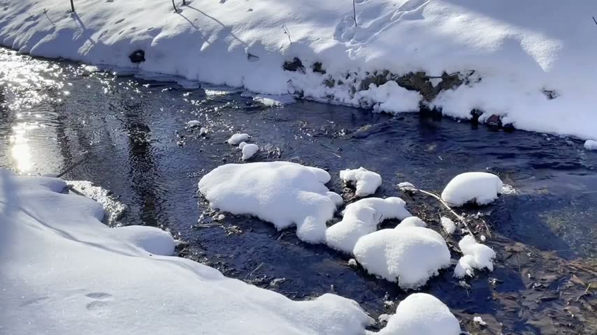 Flowing water in a small creek surrounded by deep snow during a sunny winter day in the forest