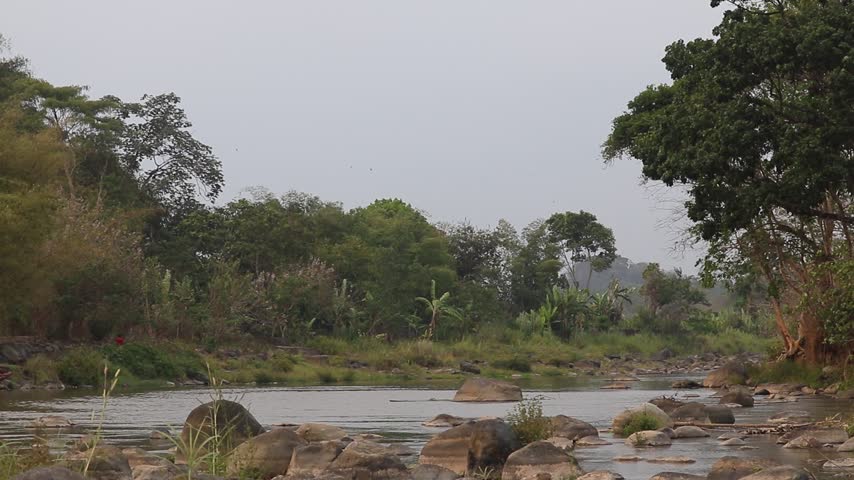 A peaceful landscape view of a slow-moving river surrounded by dense green forest trees, lush vegetation, and natural rocky riverbanks under a bright overcast sky.