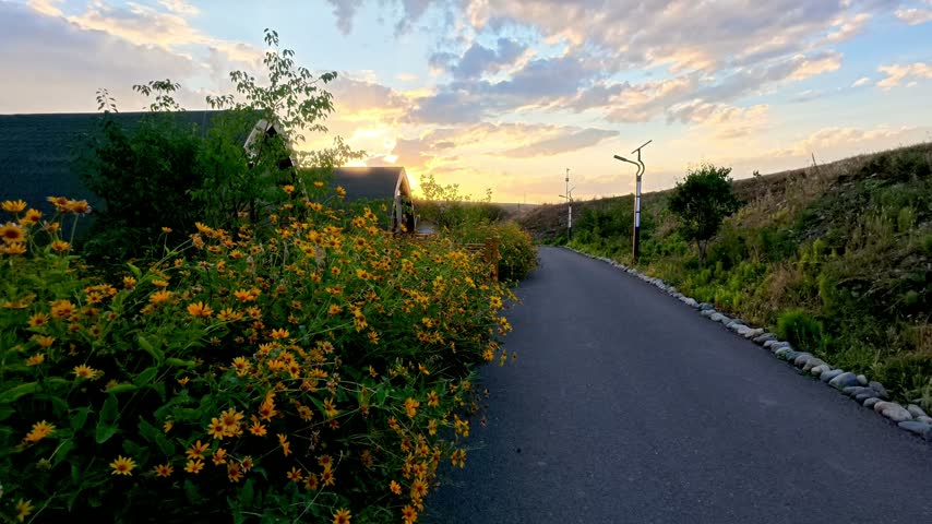 Sunset Path with Yellow Flowers and Rustic Cabins
