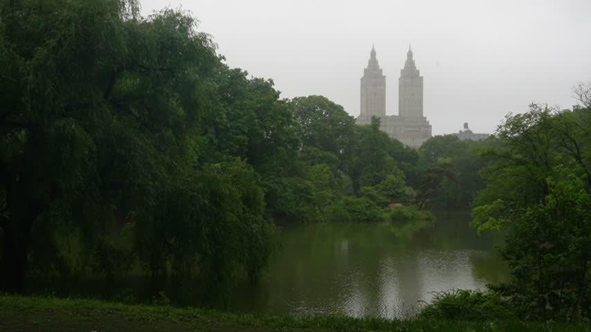 Twin towers above a misty park lake seen through summer trees