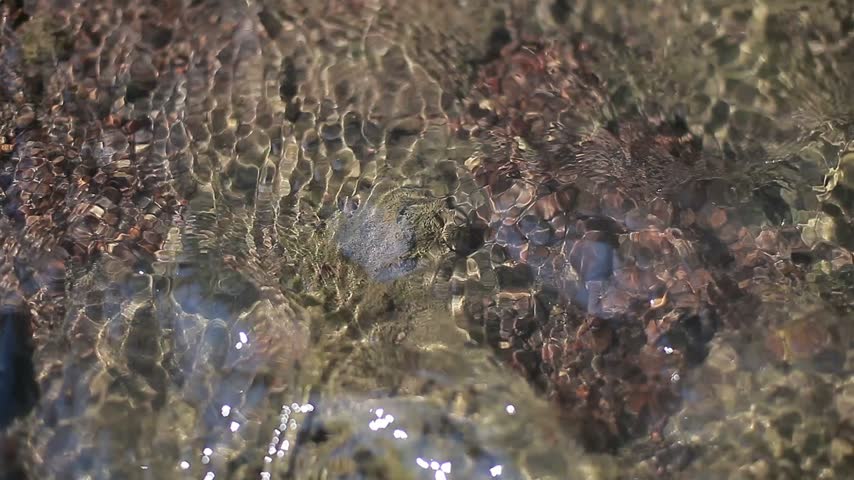 Clear stream with a rocky bed