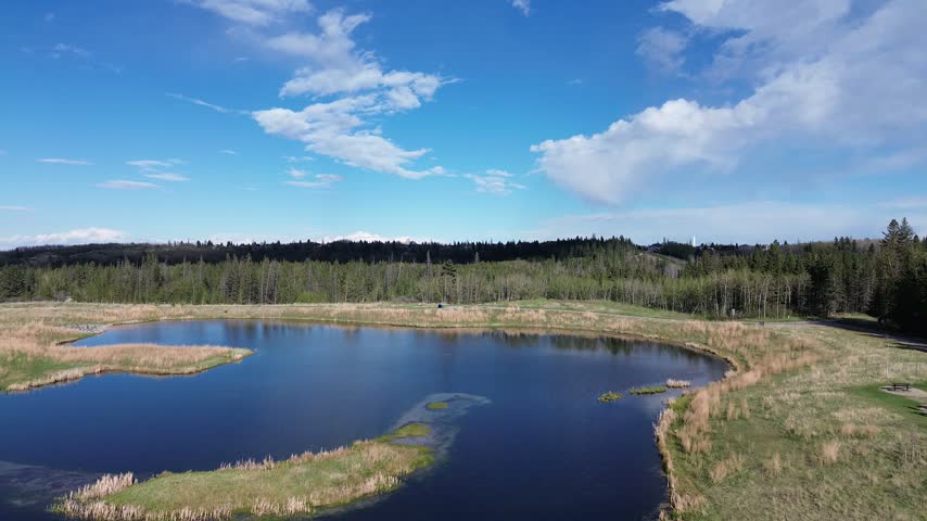 Aerial view of blue pond in Calgary park with forest and suburbs under sunny sky, drone flying forward