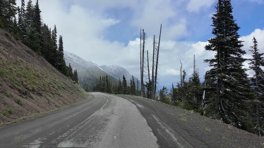 Forward motion on a winding asphalt road through an alpine landscape with dry and evergreen trees in Olympic National Park, Washington State