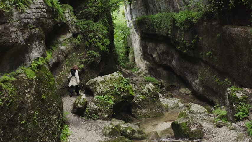 Rocky Forest Gorge With Moss Covered Boulders And Flowing Stream