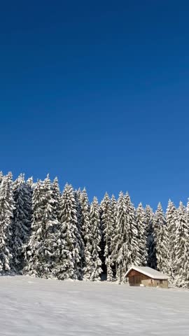 Serene winter scene featuring a small wooden cabin nestled at the edge of a dense pine forest, all covered in fresh white snow under a clear, deep blue sky on a sunny day in Bavaria, Germany