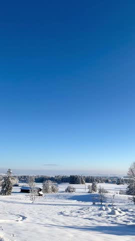 Beautiful winter scene showing a serene village covered in fresh snow under a clear blue sky. The sunlight creates long shadows on the pristine white landscape, with frosted trees in the distance