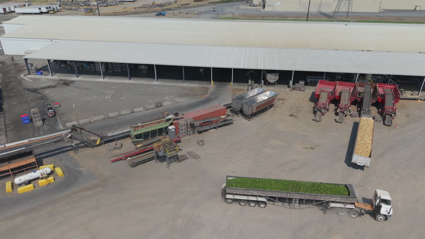 Green bell peppers arrive by truck at a food processing facility in Boardman, Oregon, showing fresh crop delivery, agricultural logistics, and commercial vegetable production.