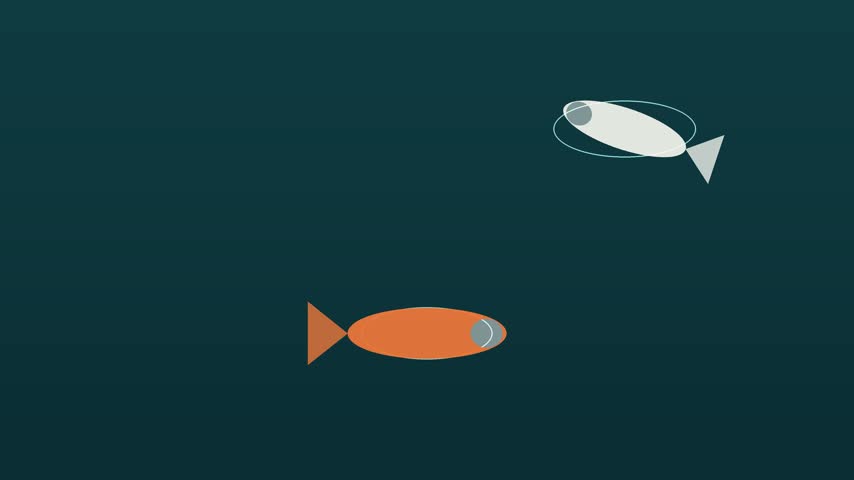 This animation depicts koi fish swimming across a teal pond surface. The vector graphic shows two fish, one orange and one white, in continuous motion. The scene evokes a tranquil and serene underwater environment.