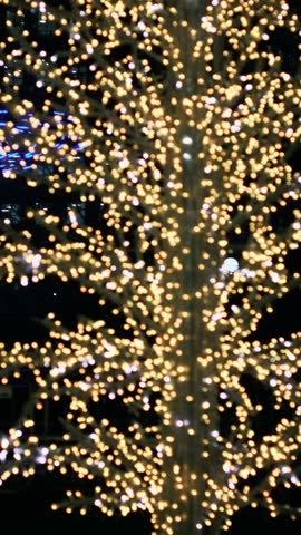 A tall tree wrapped in warm golden fairy lights against a dark night sky, with the camera slowly moving upward along the trunk.