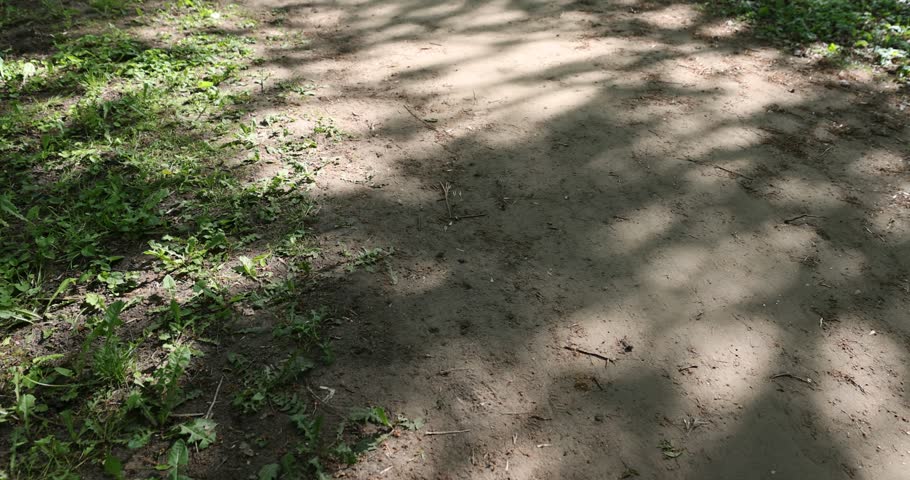 path in the park with green grass along the roadsides and shadows from foliage from trees, a large number of shadows on the path from trees in sunny spring warm weather