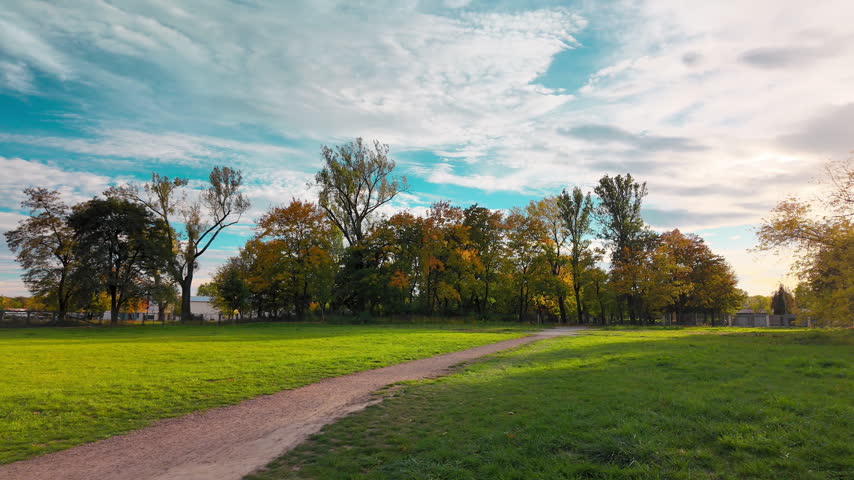 Scenic slow-paced tracking shot moving along a rural dirt trail in a beautiful green field surrounded by trees on a sunny day.