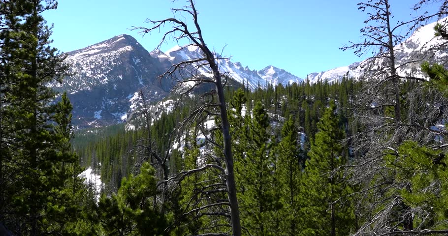 Snow covered Pagoda Mountain seen through trees in Rocky Mountain National Park, Colorado
