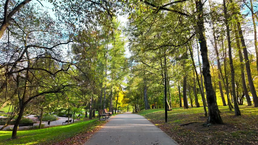 Continuous smooth motion video moving along a paved stone pedestrian walkway in a modern public park surrounded by autumn trees on a sunny day.
