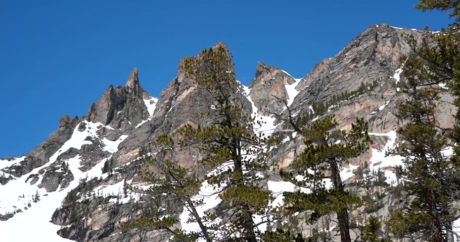 Snow covered Flattop Mountain behind coniferous trees in Rocky Mountain National Park, Colorado