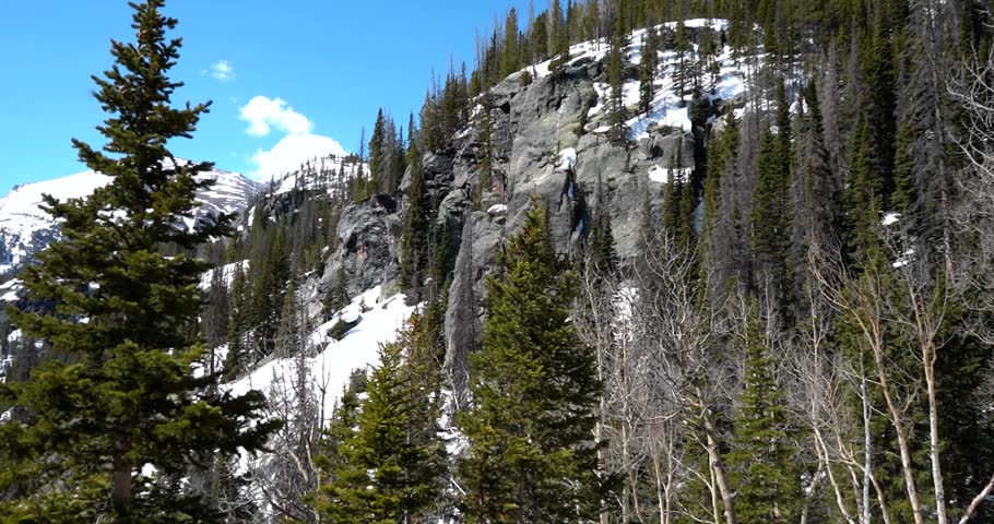 Rocky mountainside with evergreen trees and snow in Rocky Mountain National Park, Colorado