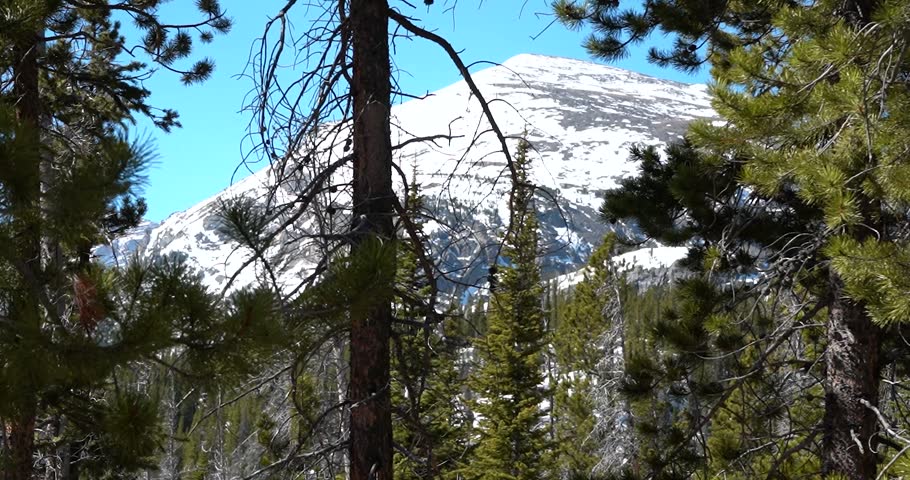 Snowy mountain peak behind evergreen trees in Rocky Mountain National Park, Colorado