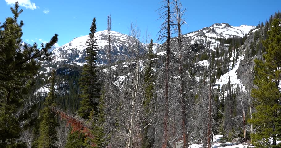 Mountain peaks through evergreen forest in Rocky Mountain National Park during winter