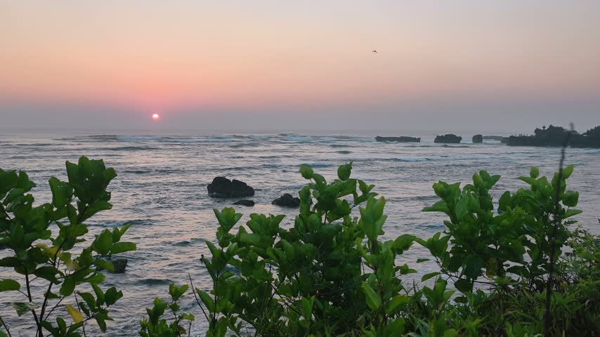 Sunset view over the ocean with green foliage and rocks in foreground