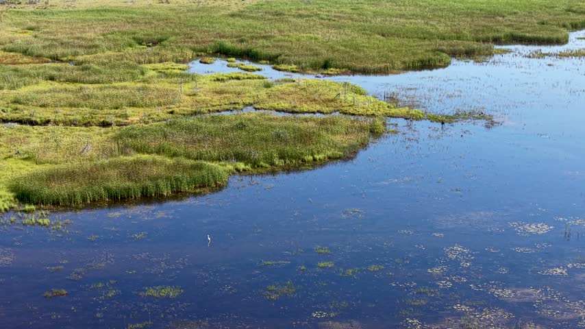 A drone tracks the irregular edge of a grassy Hessel wetland beside clear blue shallow water on Lake Huron in Michigan.