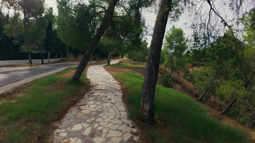 Personal perspective following a winding stone walkway through a park with pine trees and green grass