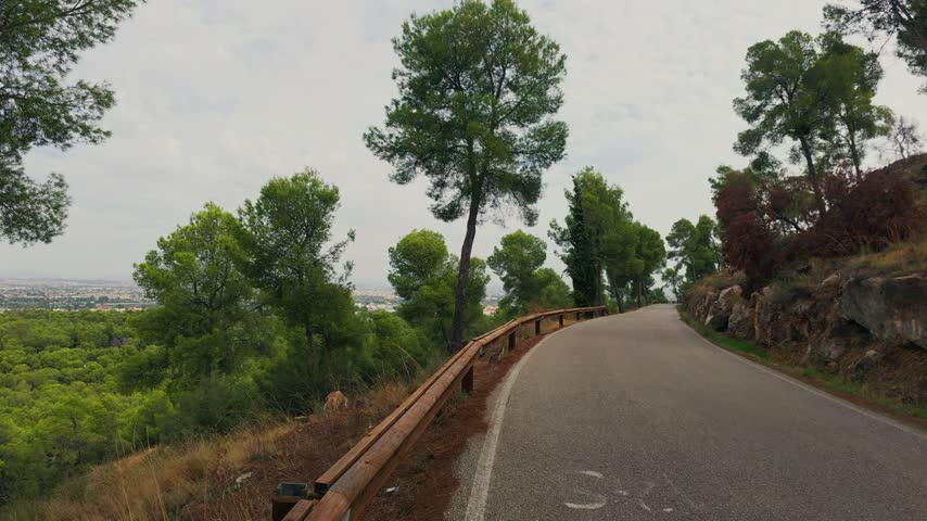 Moving backwards on a narrow asphalt road in a beautiful pine forest on a cloudy day