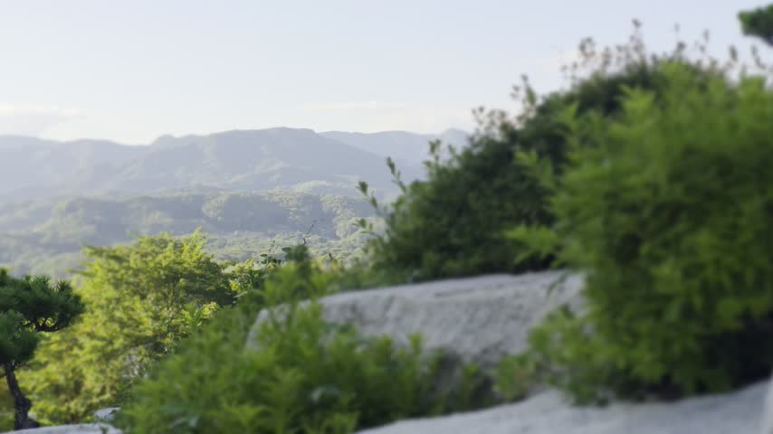 Scenic view of mountains and a close up of some bushes