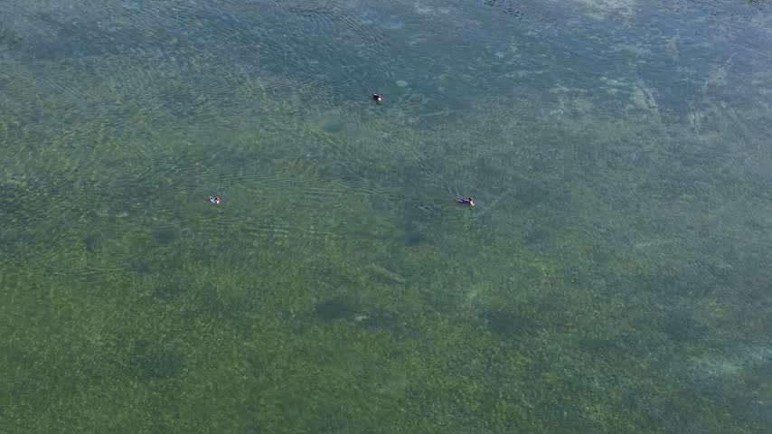 An overhead drone view catches two small waterbirds moving separately above a mottled lakebed in pale blue and green shallows near Hessel Michigan.