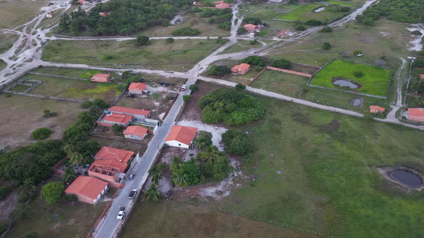 Aerial view of a rural settlement with red roofed houses, dirt roads, and a massive tree.