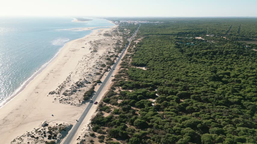 A few cars travel the straight road that separates the wide sandy Atlantic beach from an unbroken pine forest on the Punta Umbría coast in bright natural light.