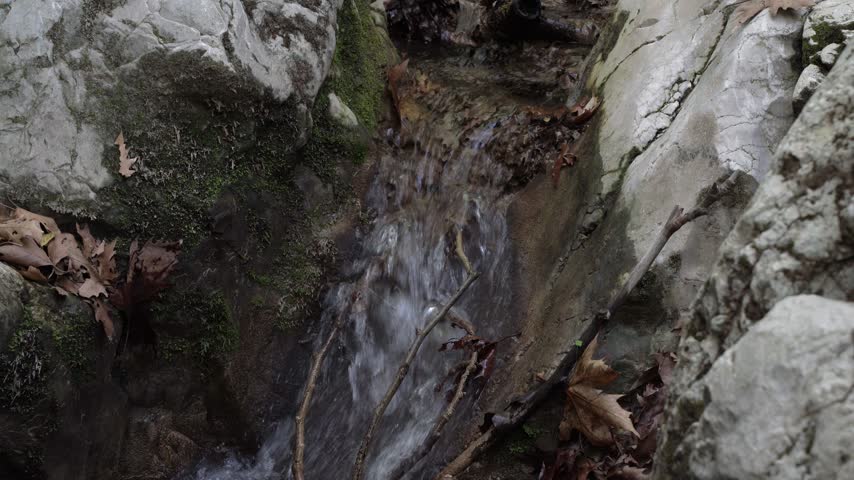 Water rolling in the forest