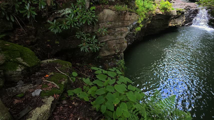 Watkins Glen State Park, Finger Lakes region, New York State, United States