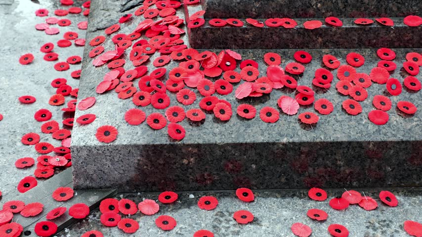 Remembrance Day in Ottawa, Canada. People putting down poppy flowers on Tomb of the Unknown Soldier at National War Memorial