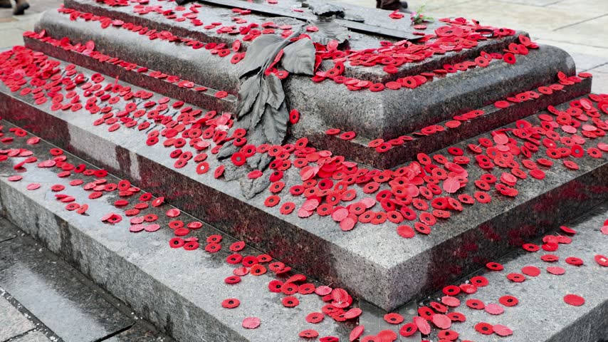 Remembrance Day red poppies at Tomb of the Unknown Soldier in Ottawa, Canada.