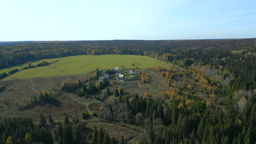 Aerial view of rural farm village beside vast autumn meadow and mixed forest under clear blue sky, with white houses, open fields, winding tracks, and calm seasonal landscape