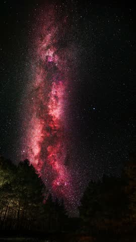 Milky Way galaxy in the night sky above a forest and the silhouettes of fir trees.