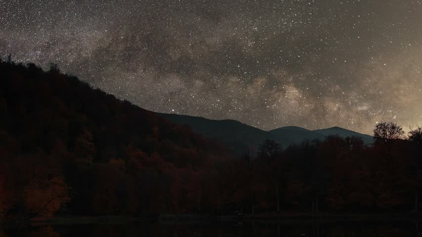 Milky Way galaxy in the night sky above a forest and the silhouettes of fir trees.