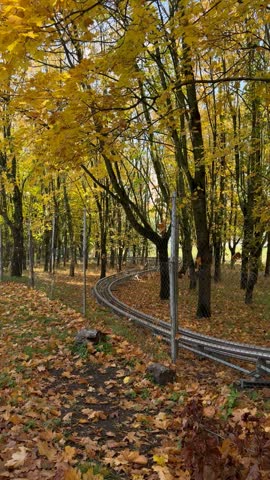 Autumn forest with yellow foliage and a curved metal path