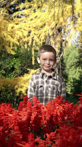 Happy young boy among bright red autumn leaves with golden yellow trees in sunny outdoor setting.
