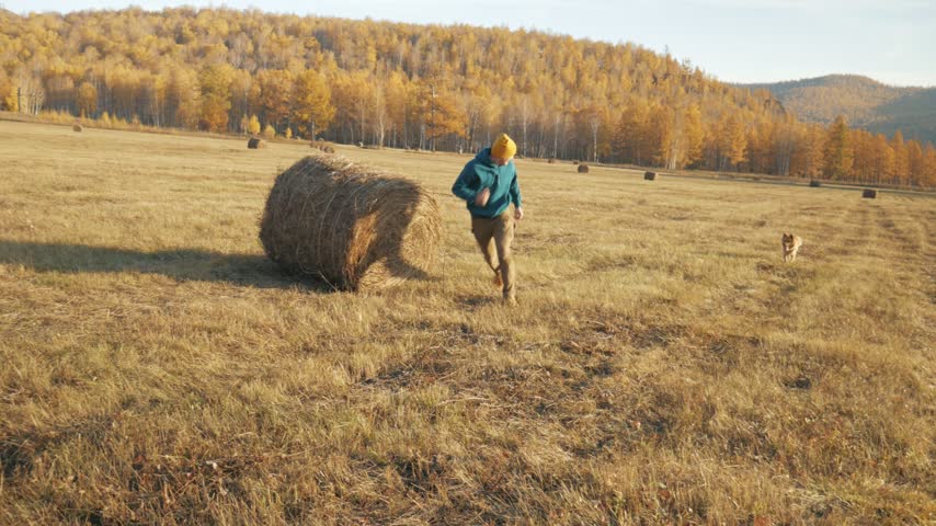 A joyful man runs away from his ginger dog while playing in a yellow autumn field with hay bales in Khakassia, Russia. The playful dog catches up to the owner to be pet on a warm sunny day with a golden forest in the background.