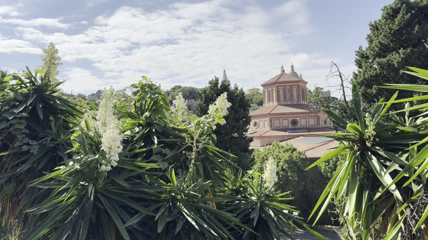 Barcelona, Spain, October 13, 2026 - View of the Archaeology Museum of Catalonia (MAC) through dense yucca plants on Montjuic hill.