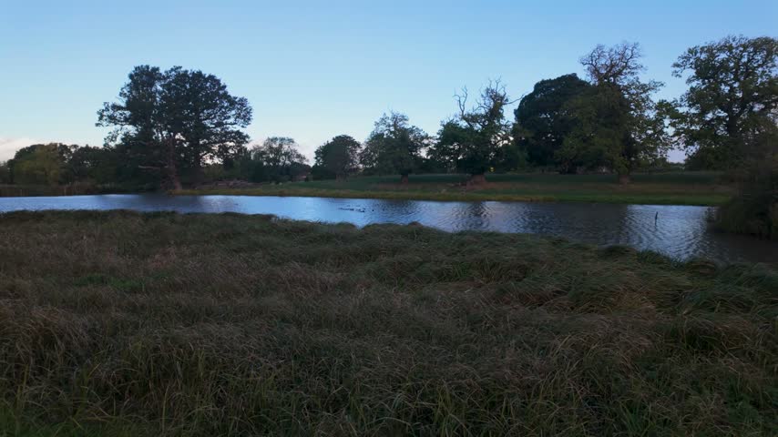 Quiet pond bordered by tall grass and mature trees under a clear blue evening sky, creating a peaceful natural landscape.