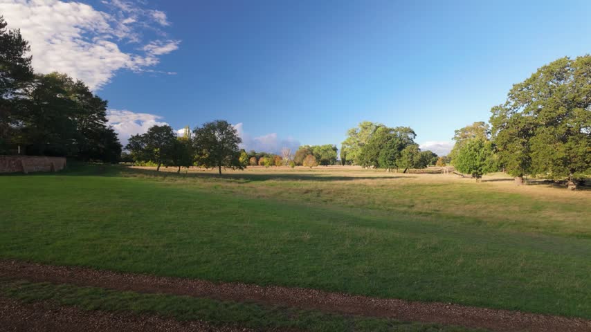 Wide green meadow with patches of dry grass, mature trees and a clear blue sky with soft clouds, creating a peaceful rural park scene.