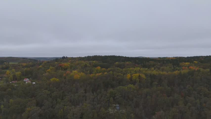 Aerial view of a dense autumn forest landscape under a cloudy sky in the countryside