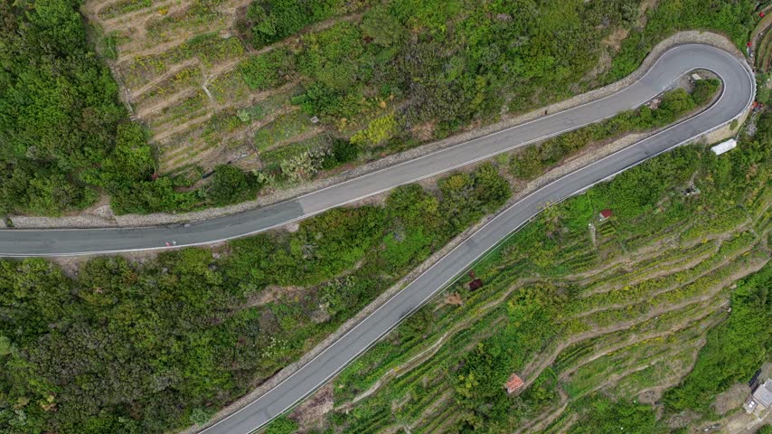 Aerial view of a winding road cutting through lush green terraced hillsides in Riomaggiore, Liguria, Italy.